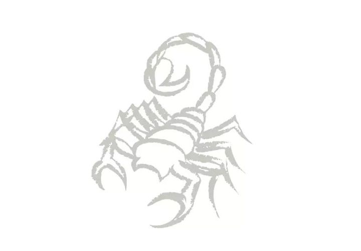 An illustration of a scorpion, the zodiac symbol for Scorpio, using hand-drawn gray brush strokes